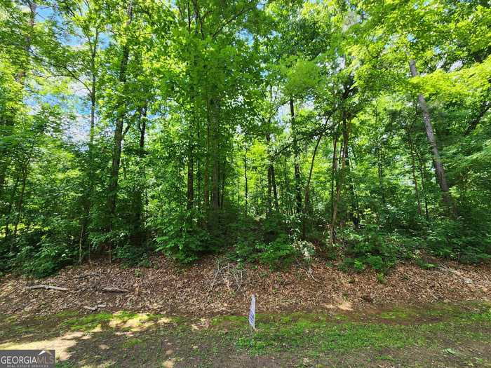 photo 2: LOT 162 Sycamore Dr, Sparta GA 31087