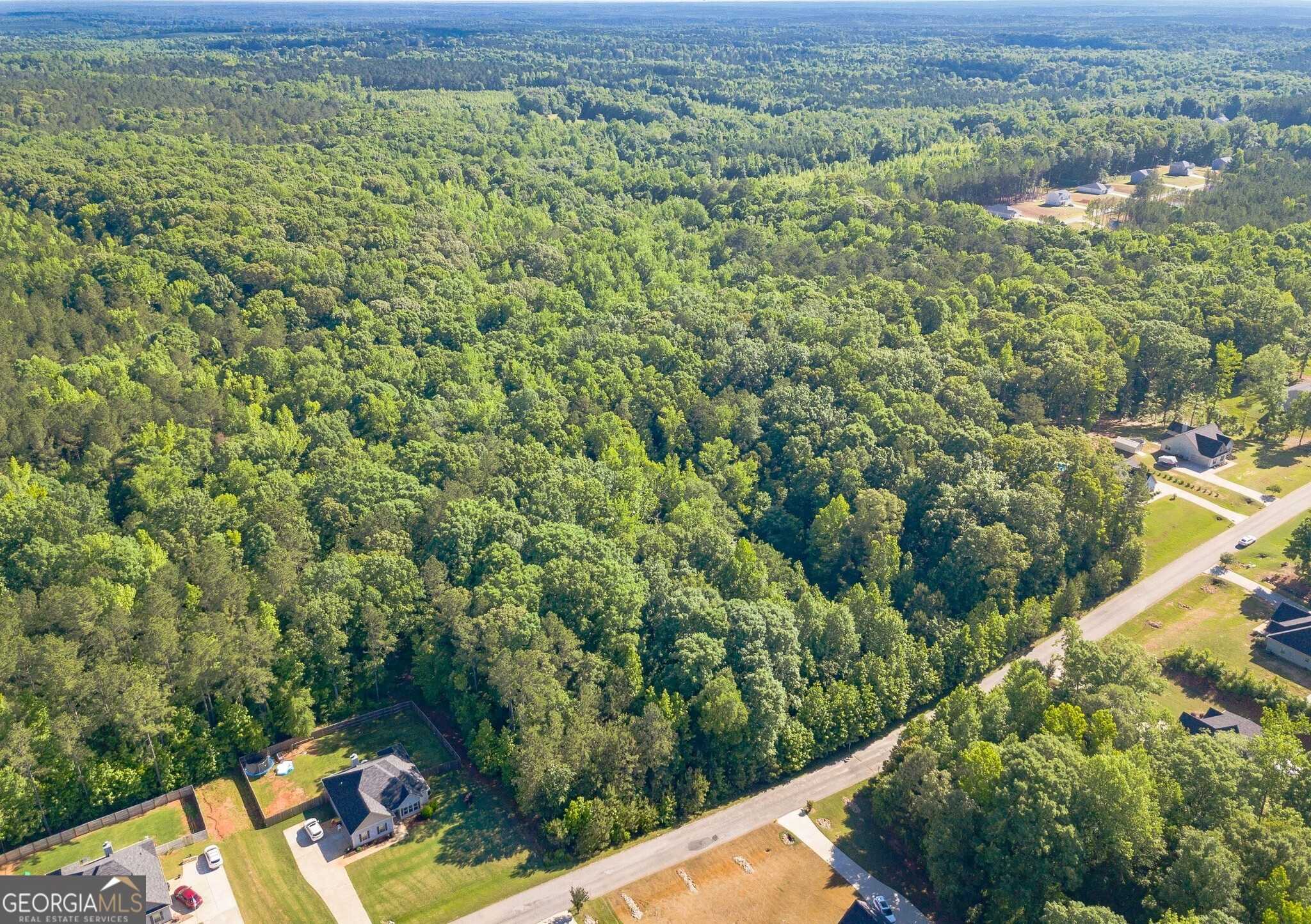 photo 3: 629 Hunter Welch Parkway Unit LOT 133, Luthersville GA 30251