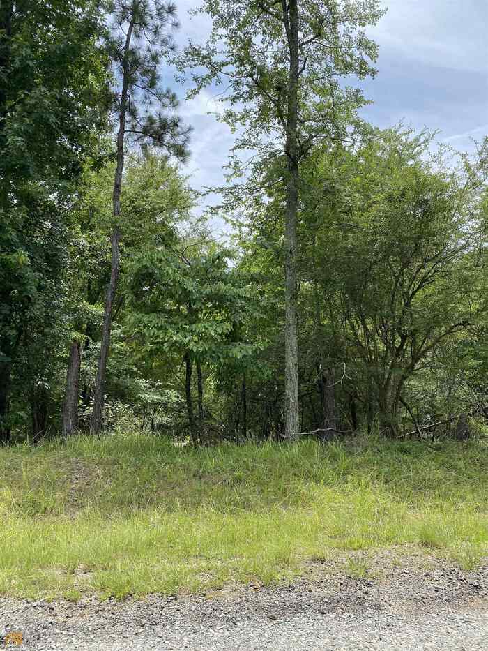 photo 1: LOT 588 Begonia, Sparta GA 31087