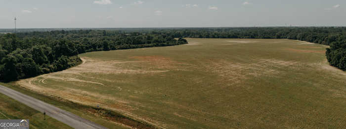 photo 2: US Highway 19 North and Palmer Road, Meigs GA 31765