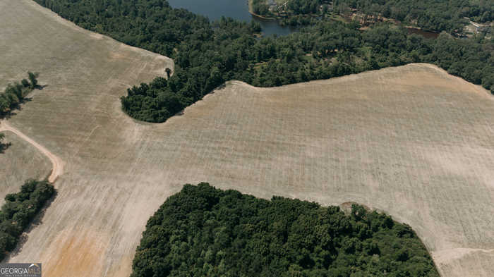 photo 24: US Highway 19 North and Palmer Road, Meigs GA 31765