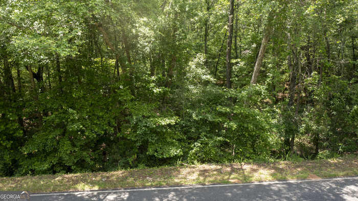 photo 1: Shirey Road, Manchester GA 31816