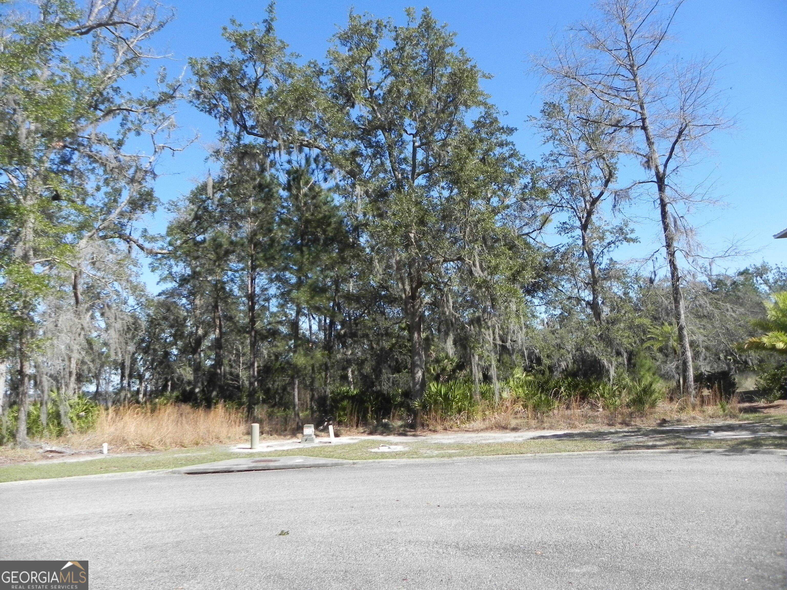 photo 1: River View Court, Waverly GA 31565