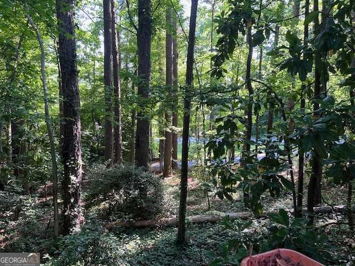 photo 23: 6 Dover Trail, Peachtree City GA 30269