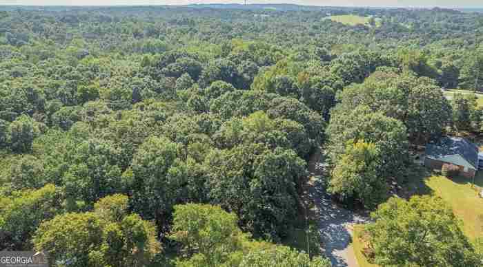 photo 28: Carey St 11.45 Acres, Royston GA 30662