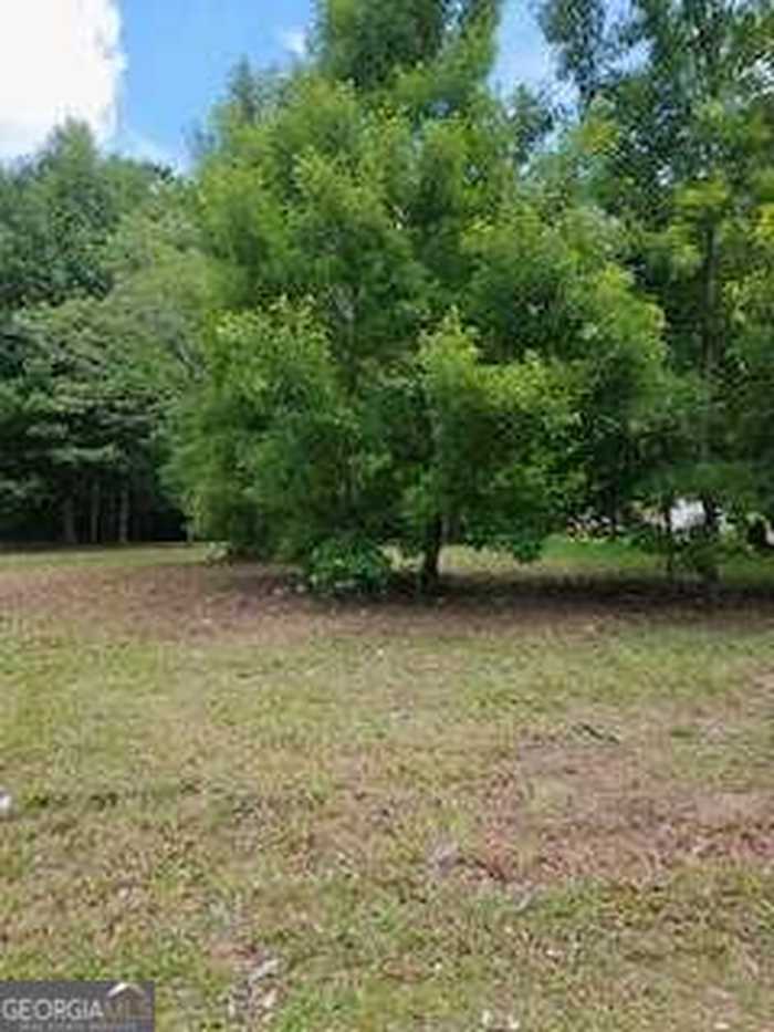 photo 2: Davis Dr, Georgetown GA 39854