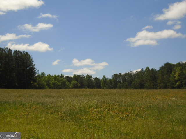 photo 1: Upper Wooten Road, Chattahoochee Hills GA 30268