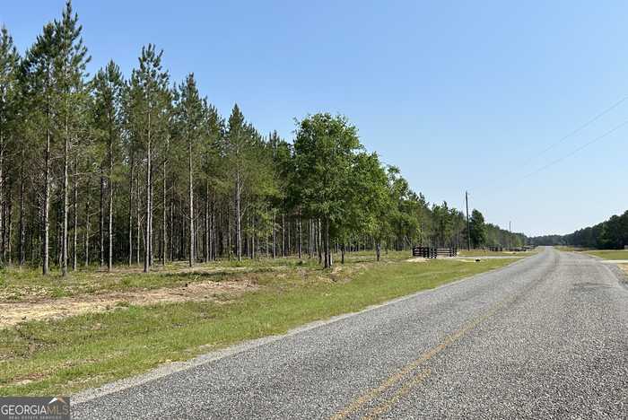 photo 2: Dewey Thomas Road Unit LOT 2, Dexter GA 31019