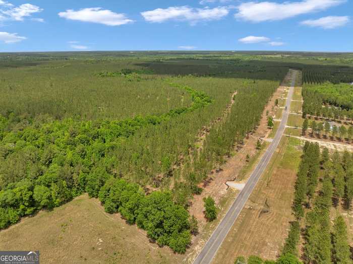 photo 14: Dewey Thomas Road Unit LOT 7, Dexter GA 31019