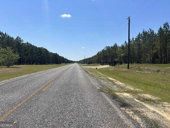 photo 13: Dewey Thomas Road Unit LOT 8, Dexter GA 31019