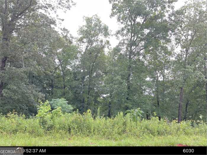 photo 1: LOT 12 Oak Drive, Hawkinsville GA 31036