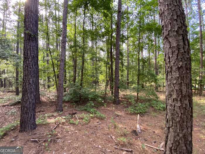 photo 17: LOT 9 Cherokee Trail Road, Cochran GA 31014