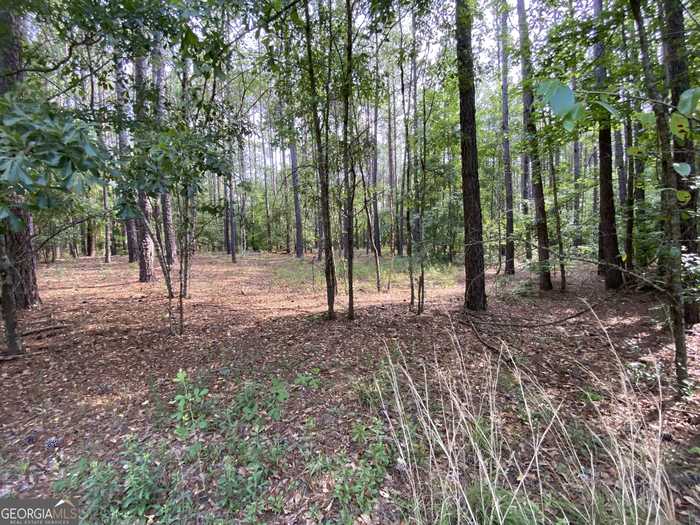 photo 2: LOT 9 Cherokee Trail Road, Cochran GA 31014