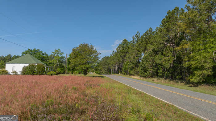 photo 52: 6186 Harvey Road, Abbeville GA 31001