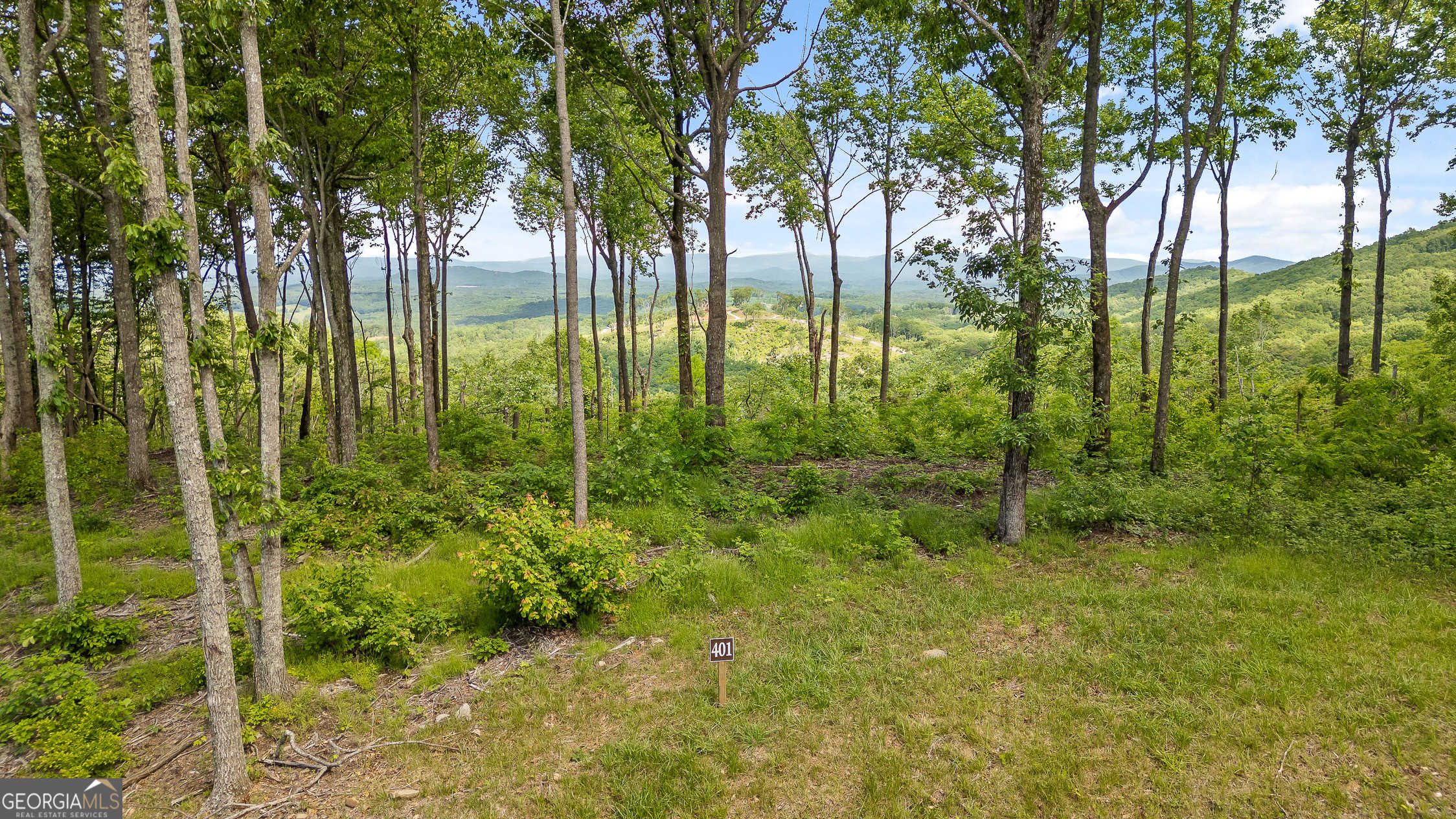 photo 1: LOT 401 Double Oak Trail, Talking Rock GA 30175