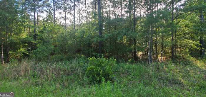 photo 2: Southside Drive Unit 1.00 AC-SOUTHSIDE DR-PARC, Lyons GA 30436