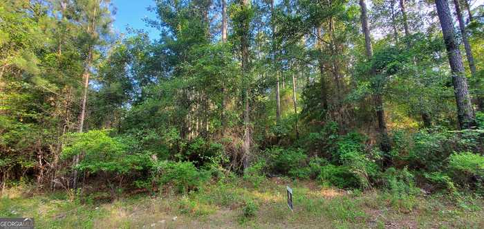 photo 4: Southside Drive Unit 1.02 AC-SOUTHSIDE DR-PARC, Lyons GA 30436