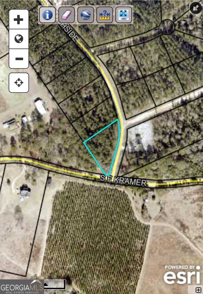 photo 2: Southside Drive Unit 1.00 AC-SOUTHSIDE DR-PARC, Lyons GA 30436