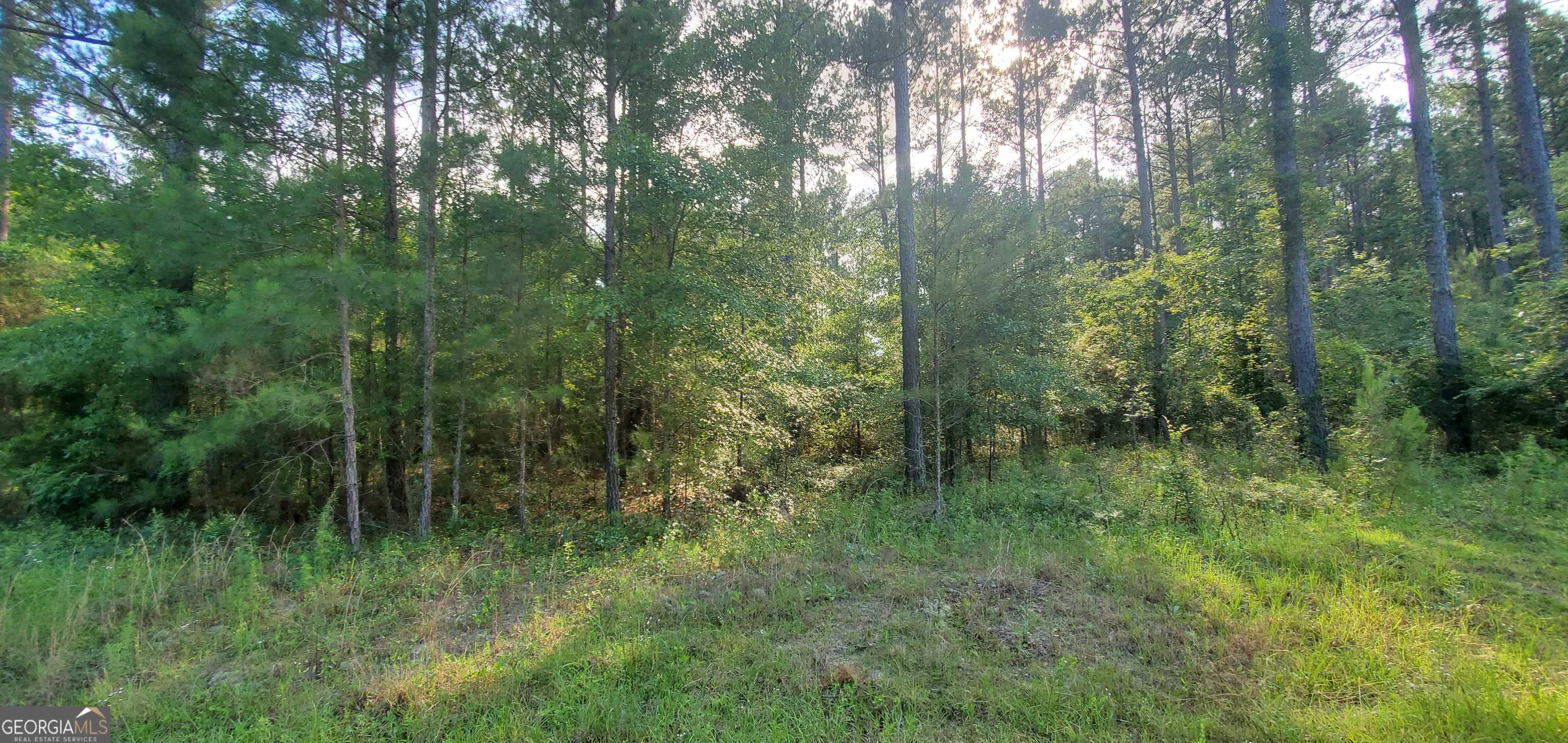 photo 3: Southside Drive Unit 1.00 AC-SOUTHSIDE DR-PARC, Lyons GA 30436