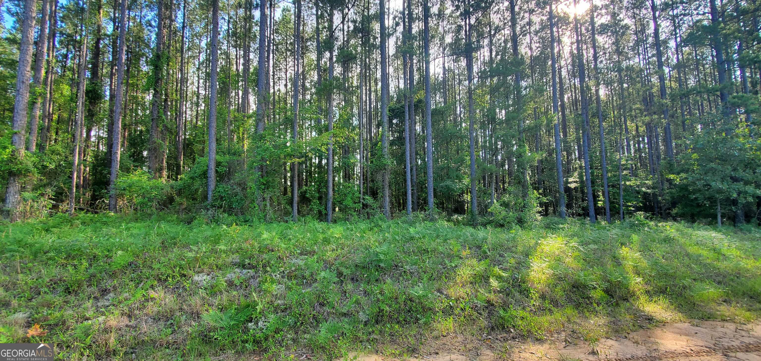 photo 3: Southside Drive Unit 1.00 AC-SOUTHSIDE DR-PARC, Lyons GA 30436