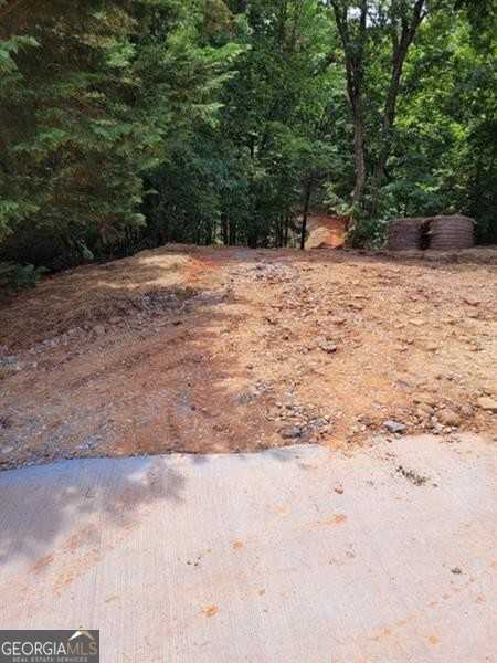 photo 3: Shadow Mountain Lane, Cleveland GA 30528