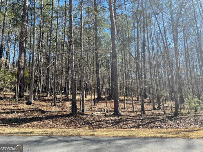 photo 1: LOT 149 Piedmont Lake Road, Pine Mountain GA 31822