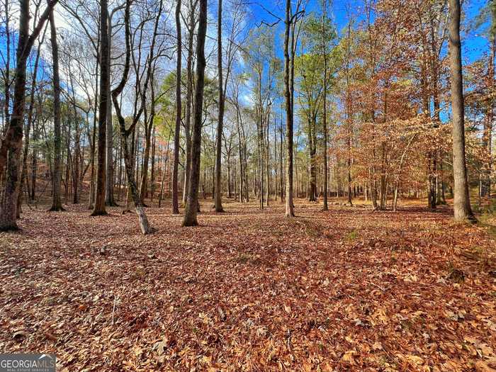 photo 13: 1.02 ACRES Heidi Trail Unit LOT 63, Buckhead GA 30625