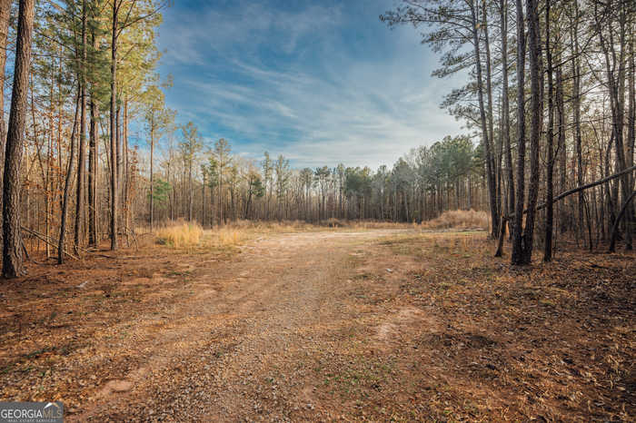 photo 1: 28.61 ACRES Sandy Creek Road, Madison GA 30650