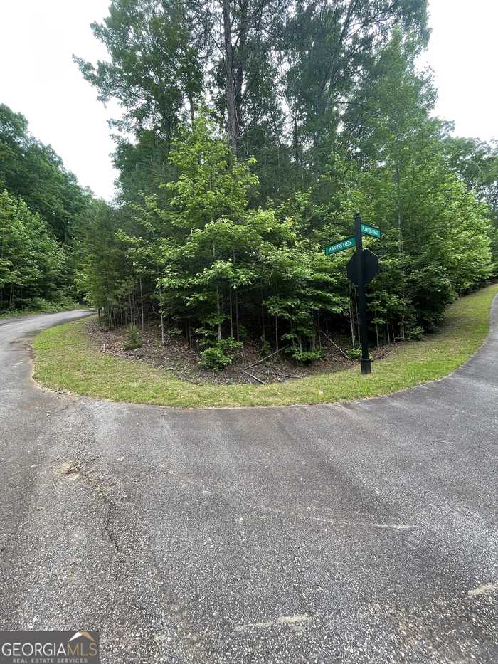 photo 1: LOT #34 Planters Creek, Baldwin GA 30511