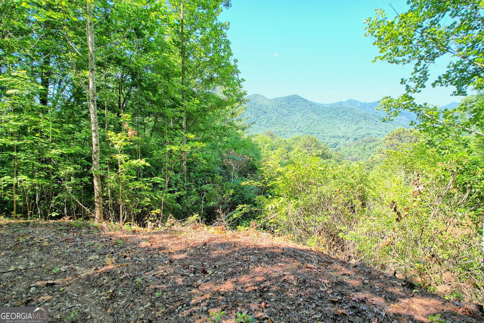 photo 1: Raven Fork Trail, Dillard GA 30537