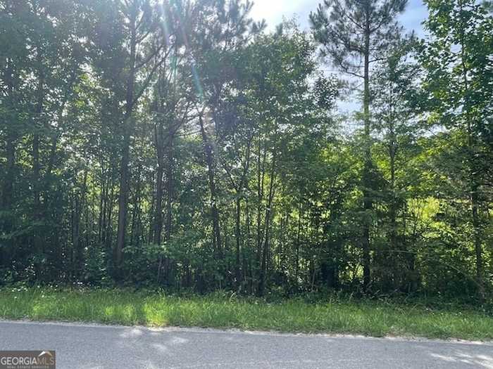 photo 1: LOT 13 Bronco Road, LaFayette GA 30728