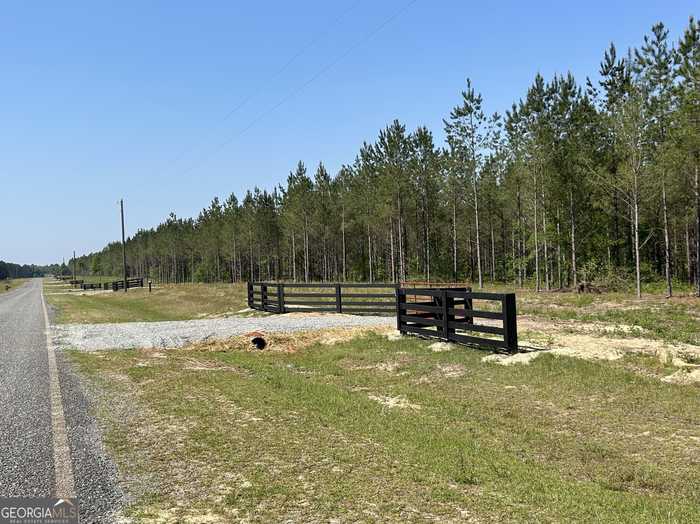 photo 2: Dewey Thomas Road Unit LOT 11, Dexter GA 31019