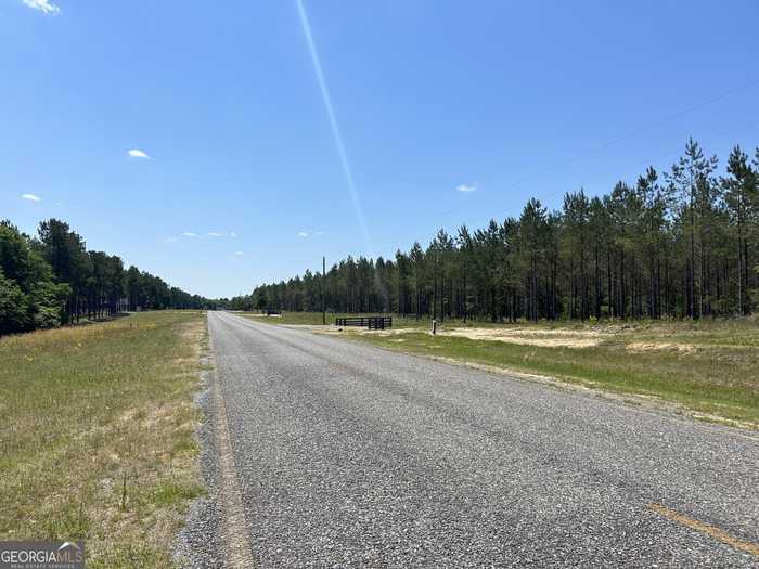 photo 11: Dewey Thomas Road Unit LOT 12, Dexter GA 31019