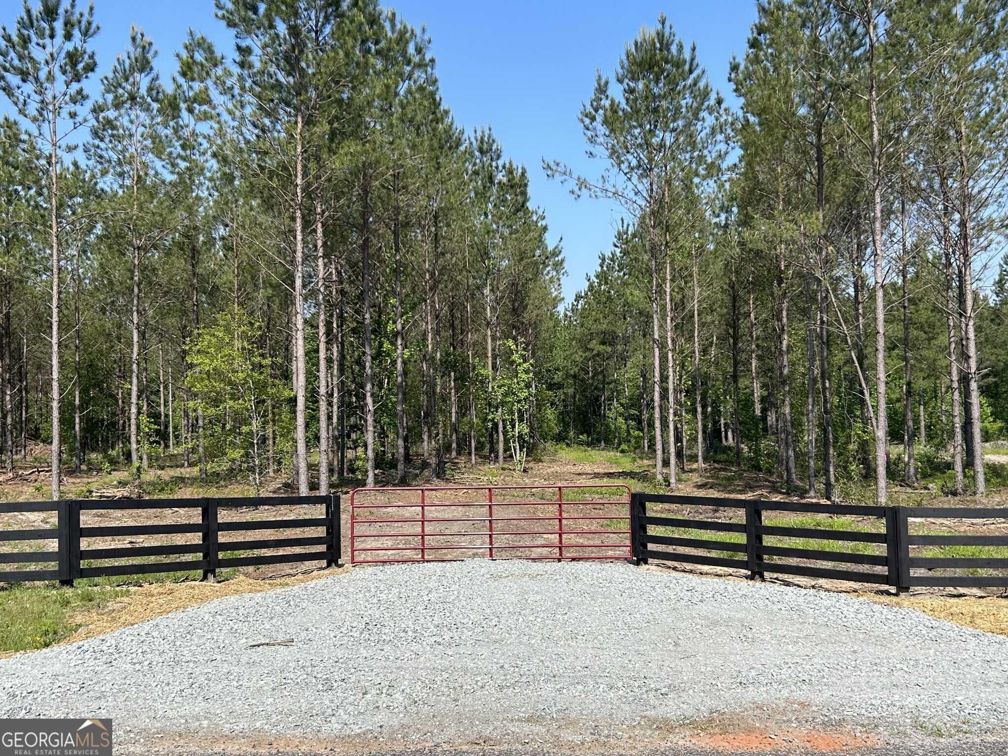 photo 1: Dewey Thomas Road Unit LOT 14, Dexter GA 31019