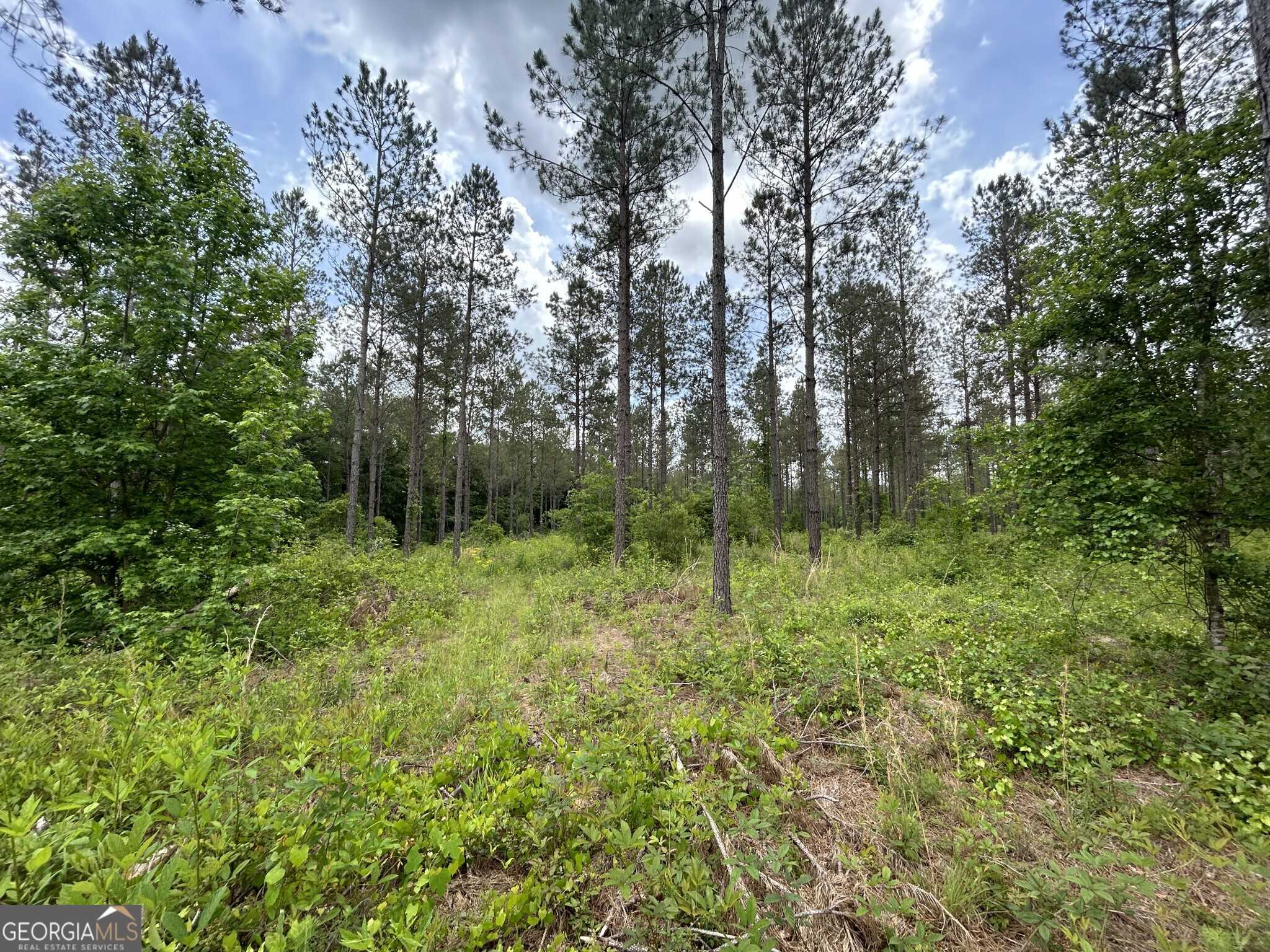 photo 2: Springhaven Road Unit LOT 16, Dexter GA 31019