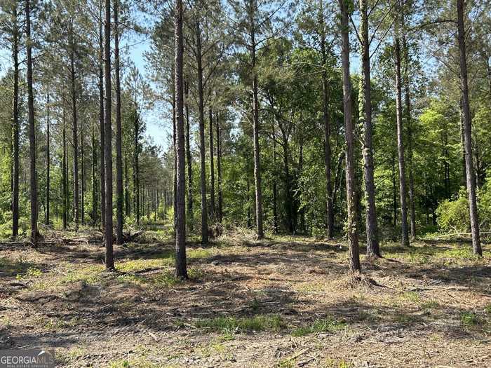 photo 2: Springhaven Road Unit LOT 17, Dexter GA 31019