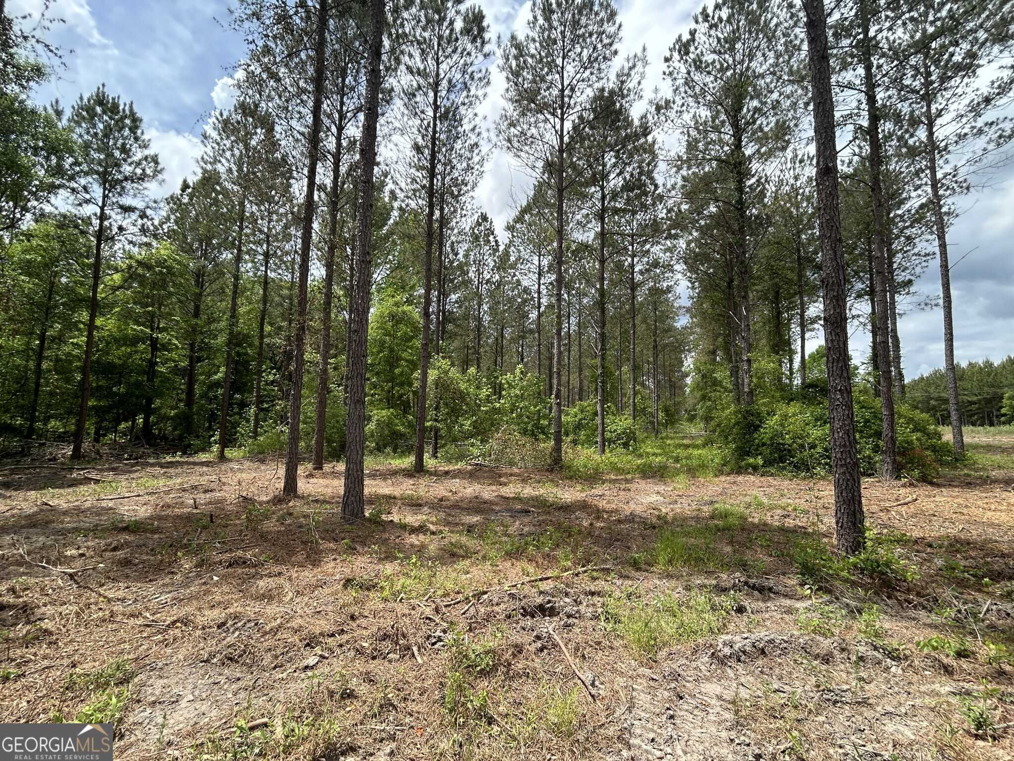 photo 3: Springhaven Road Unit LOT 18, Dexter GA 31019