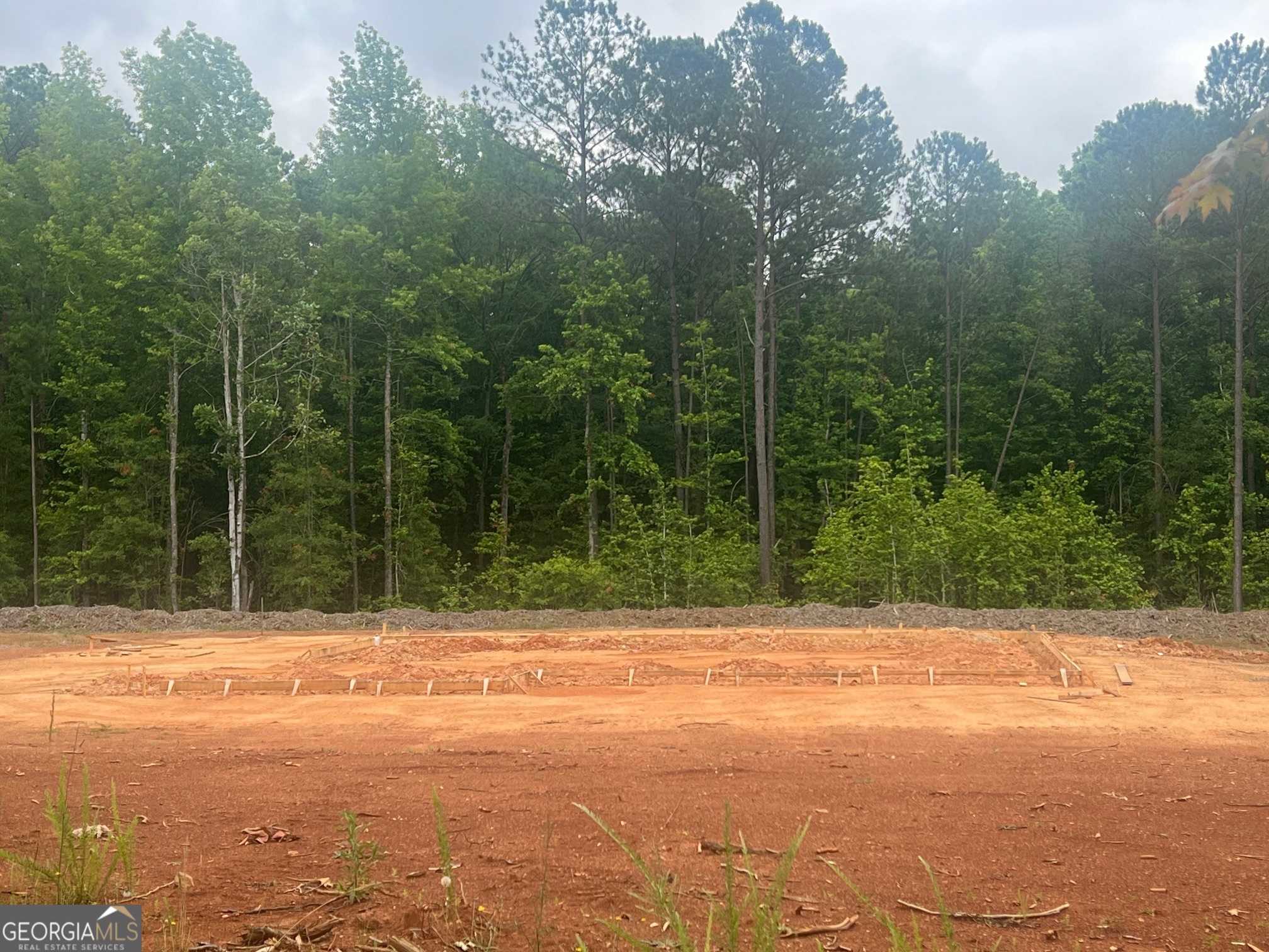 photo 1: 551 Homestead Circle LOT 43, Forsyth GA 31029