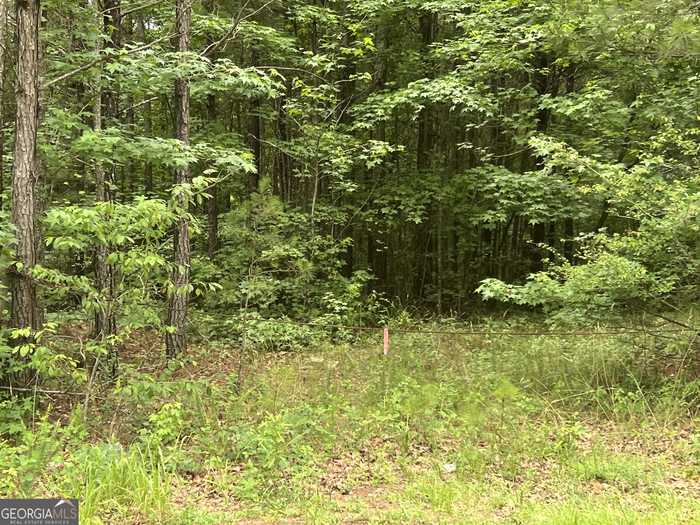 photo 2: Bob Smith LOT 2, Sharpsburg GA 30277