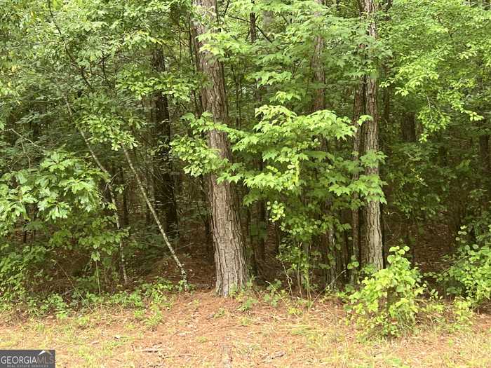 photo 3: Bob Smith LOT 2, Sharpsburg GA 30277