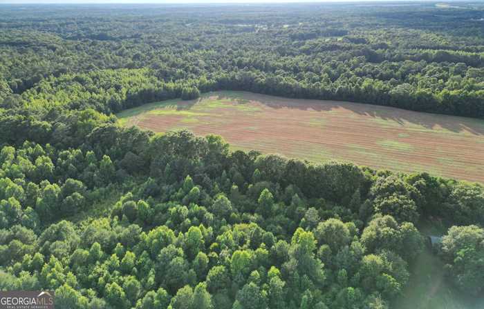 photo 2: Brownwood Road Unit TRACT 6, Rutledge GA 30663