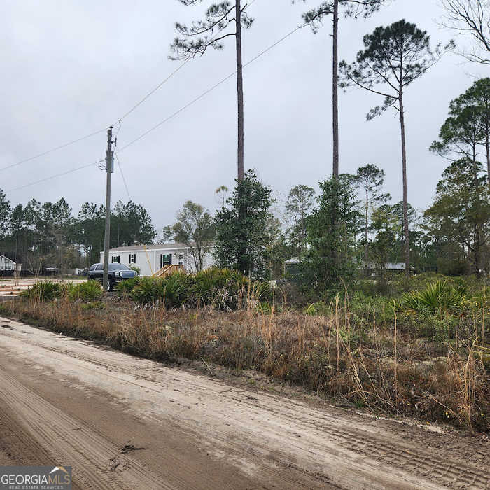 photo 2: Patterson Road, Folkston GA 31537