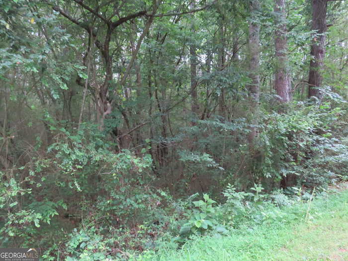 photo 7: Parrish Road, Cedartown GA 30125