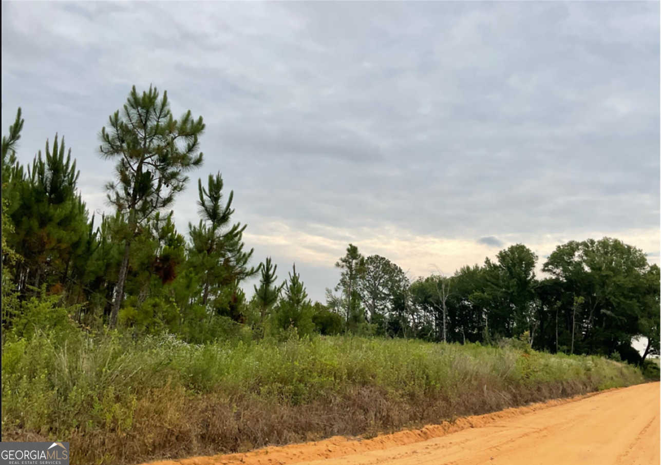 photo 1: 6.58 AC TRACT # Albert Lampkin Road, Eastman GA 31023