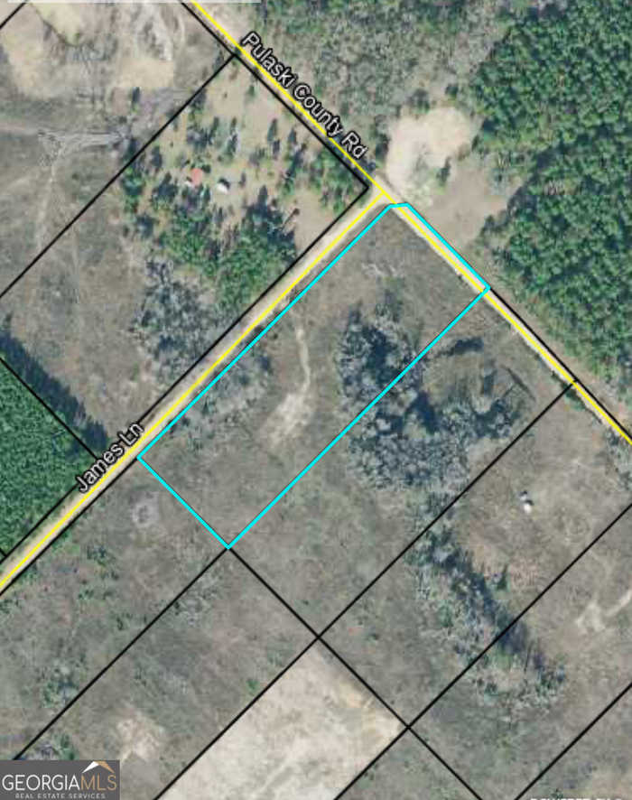 photo 6: 6.58 AC TRACT # Albert Lampkin Road, Eastman GA 31023