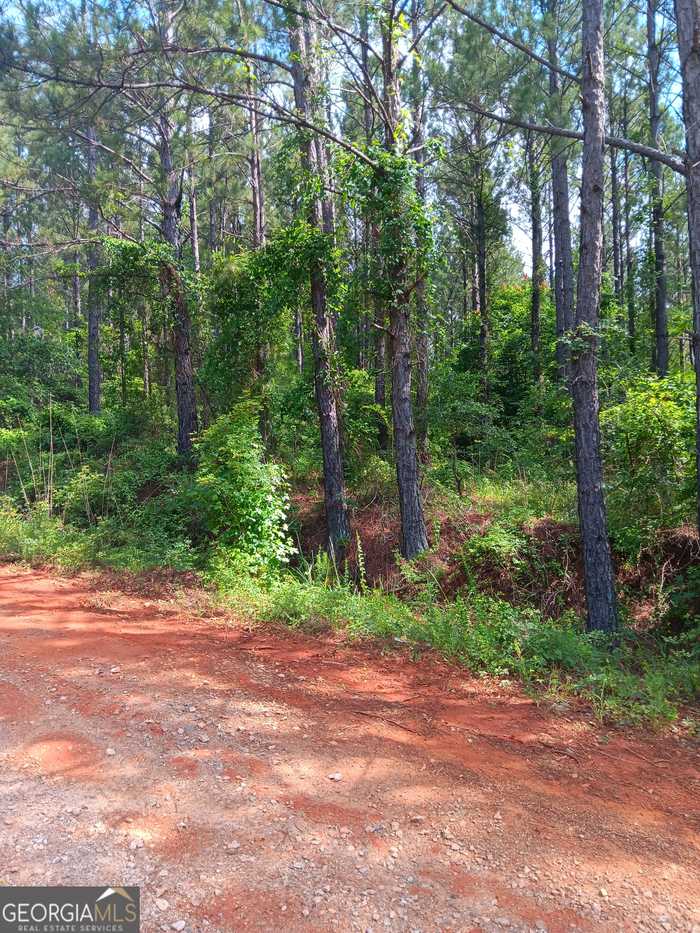 photo 2: LAKE SINCLAIR RD, Sparta GA 31087