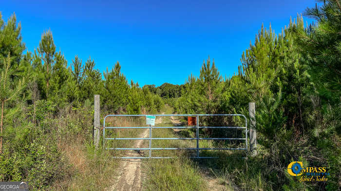 photo 1: Marvis Chapman Road, Ideal GA 31041