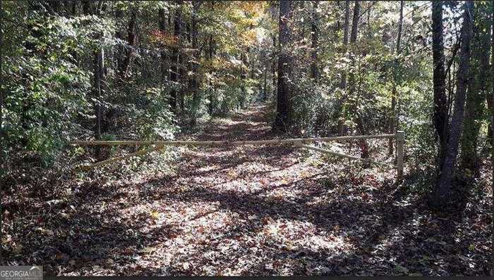 photo 2: 1047 Ponder Trammell Road, Juliette GA 31046