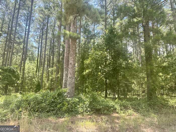 photo 6: 1874 Mercer Grove Church Road, Metter GA 30439