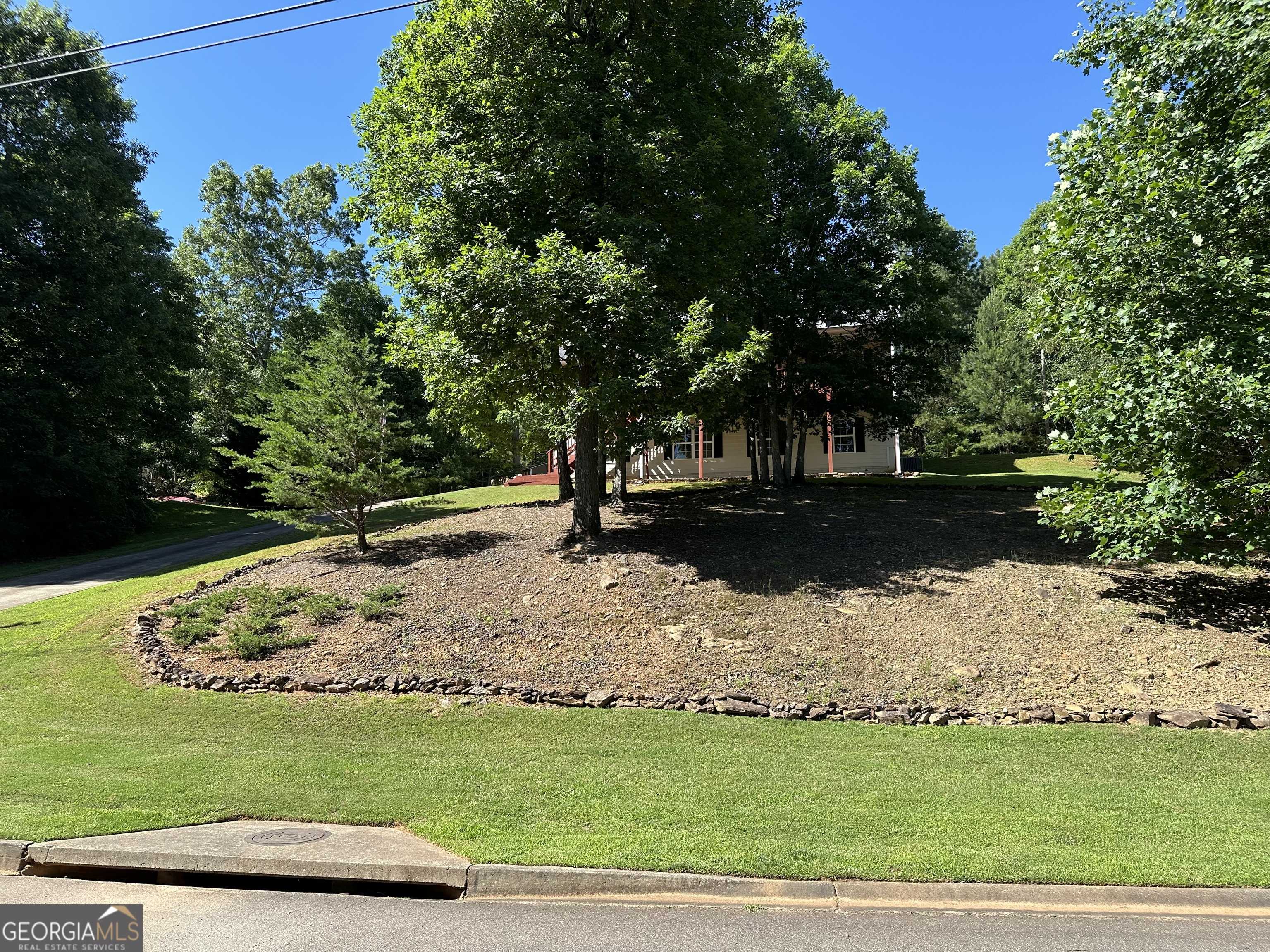 photo 3: 152 N WOODS Way, Jasper GA 30143